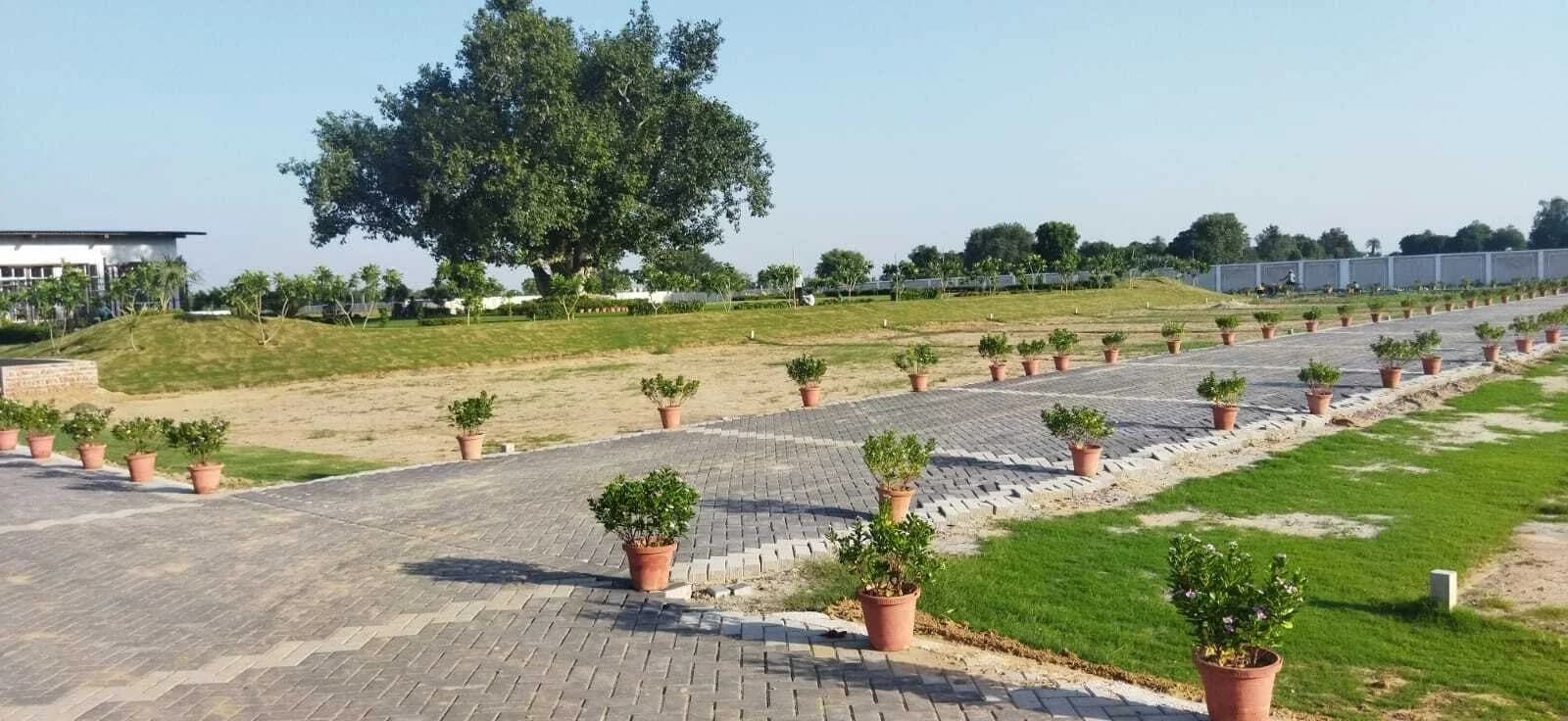 Plots in Noida